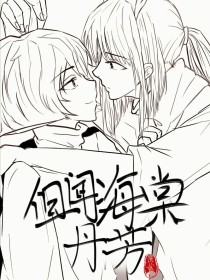 红桃解说视频入口